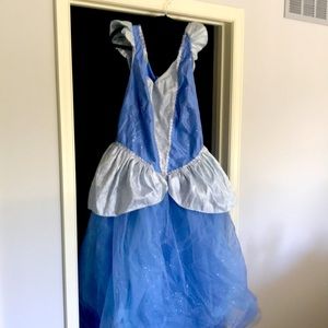 Woman”s xxl Disney Cinderella Halloween costume.